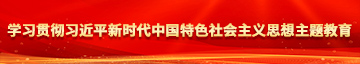 操我骚逼免费高清学习贯彻习近平新时代中国特色社会主义思想主题教育